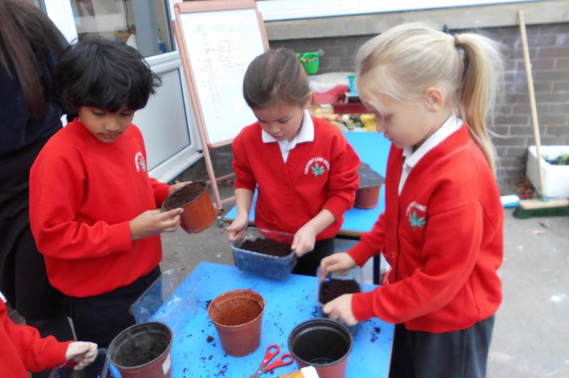 Planting In Science